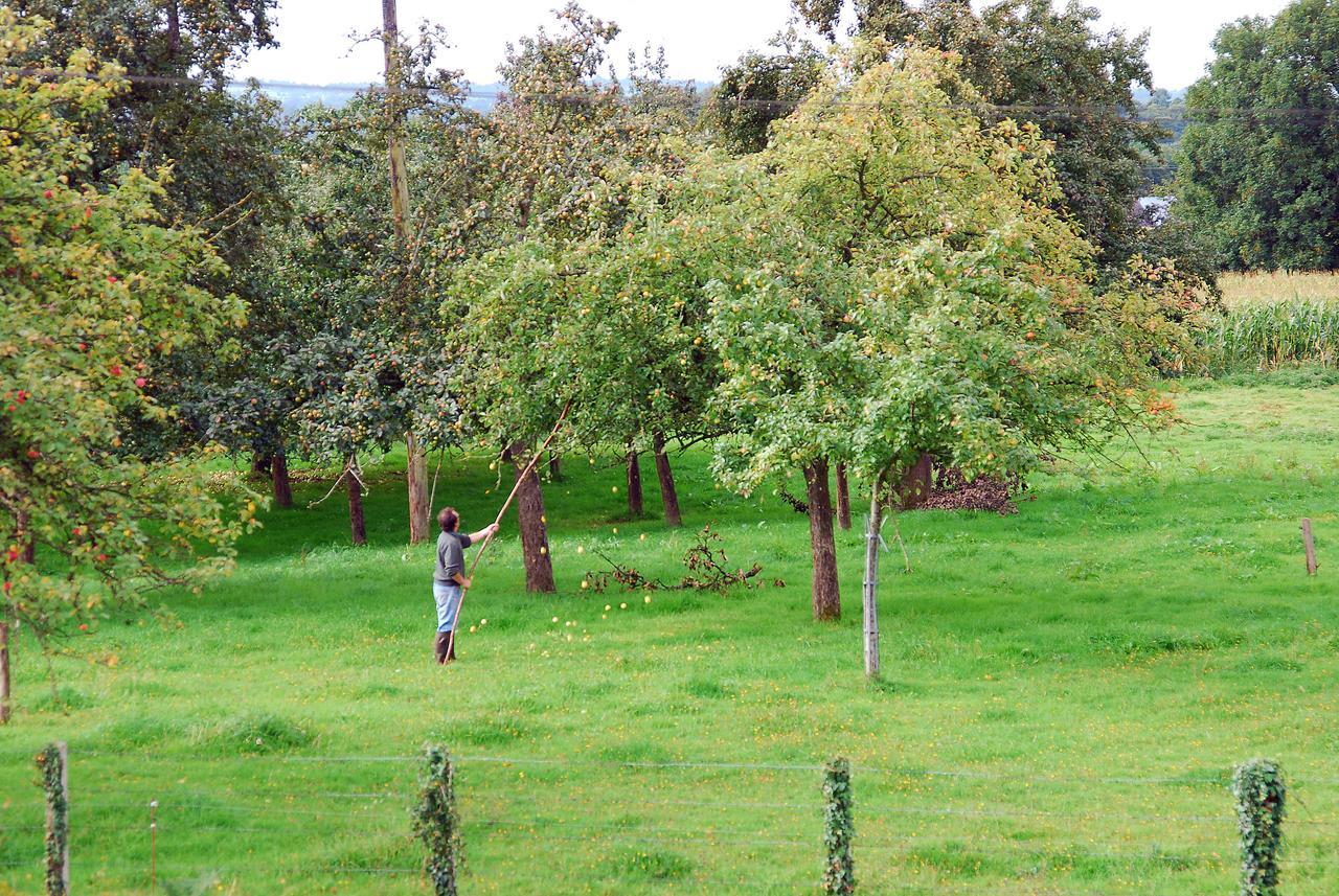 Maison Voie Verte Bion Εξωτερικό φωτογραφία